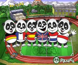 Puzzle Αρκετές Panfu T-shirts panda ορισμένων εθνικών ομάδων